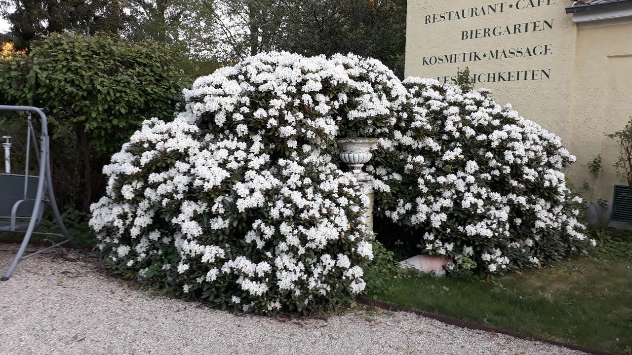 Hotel Quellenpark Bad Elster Kültér fotó